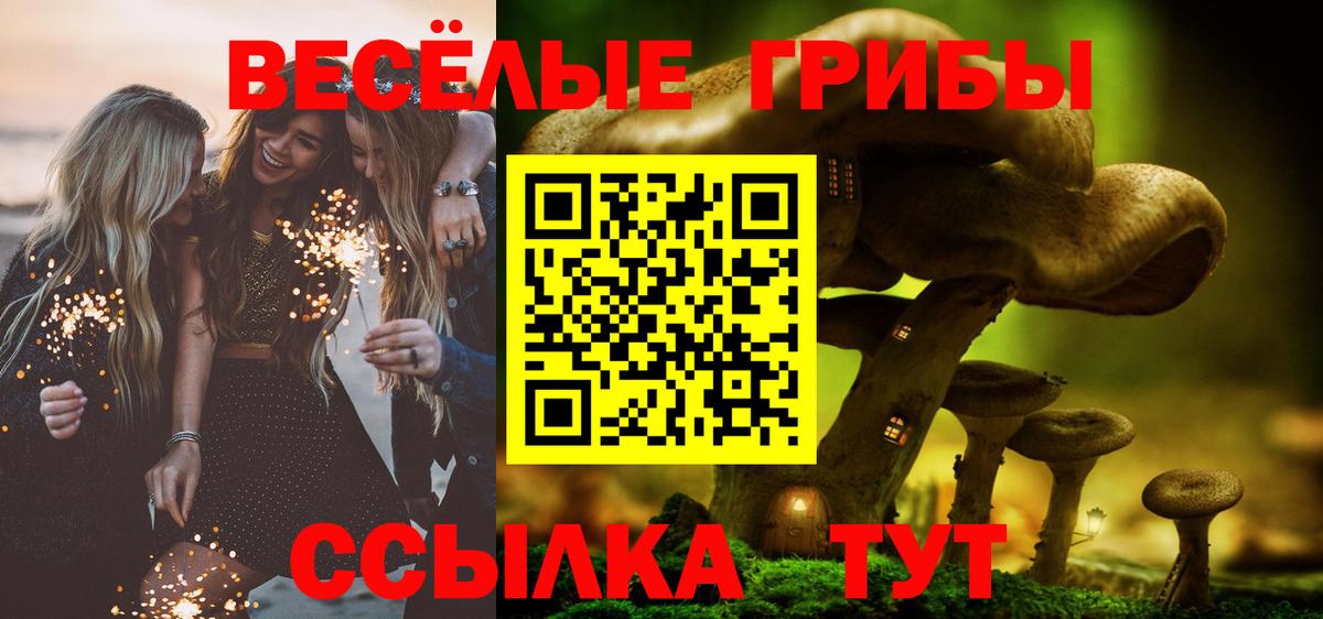 Псилоцибиновые грибы Cubensis Карабулак