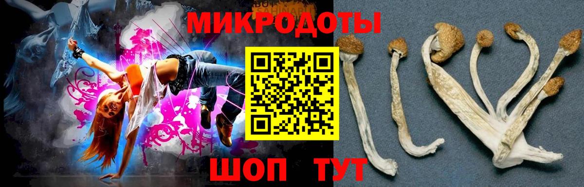 Псилоцибиновые грибы MAGIC MUSHROOMS  Вход с VPN  Карабулак 